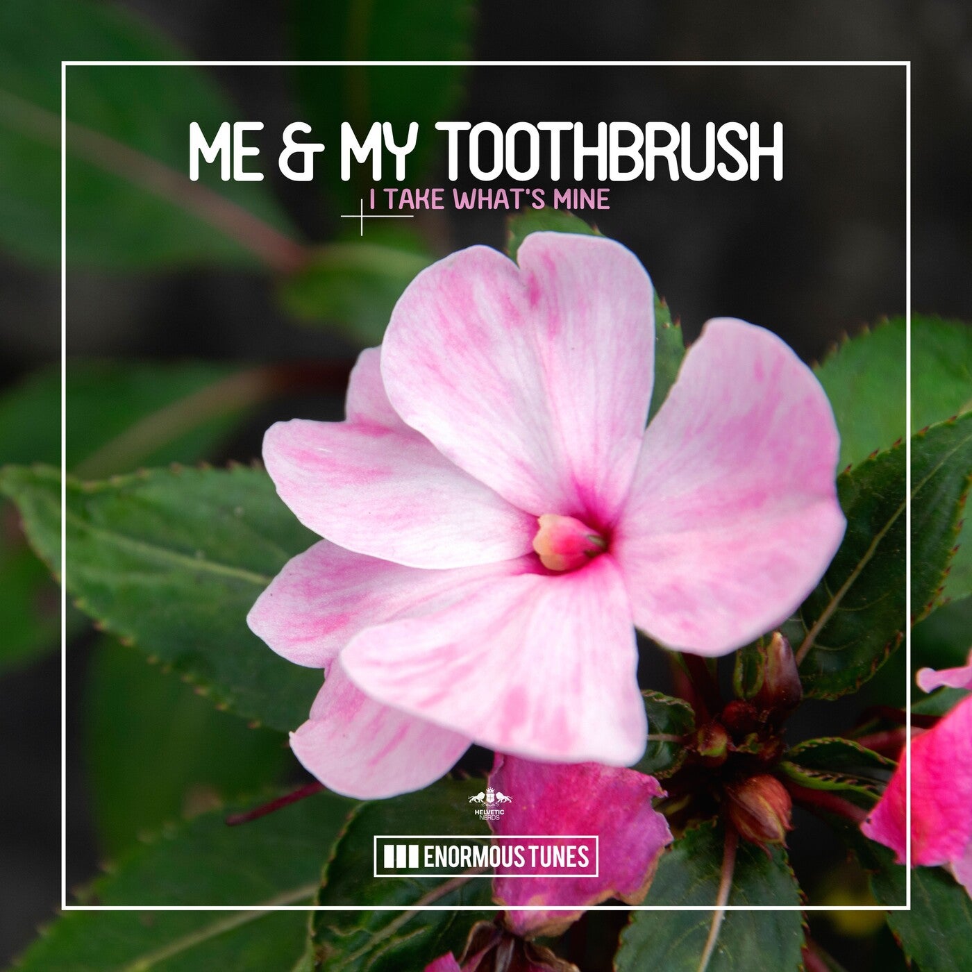 Me & My Toothbrush - I Take What's Mine [ETR590]